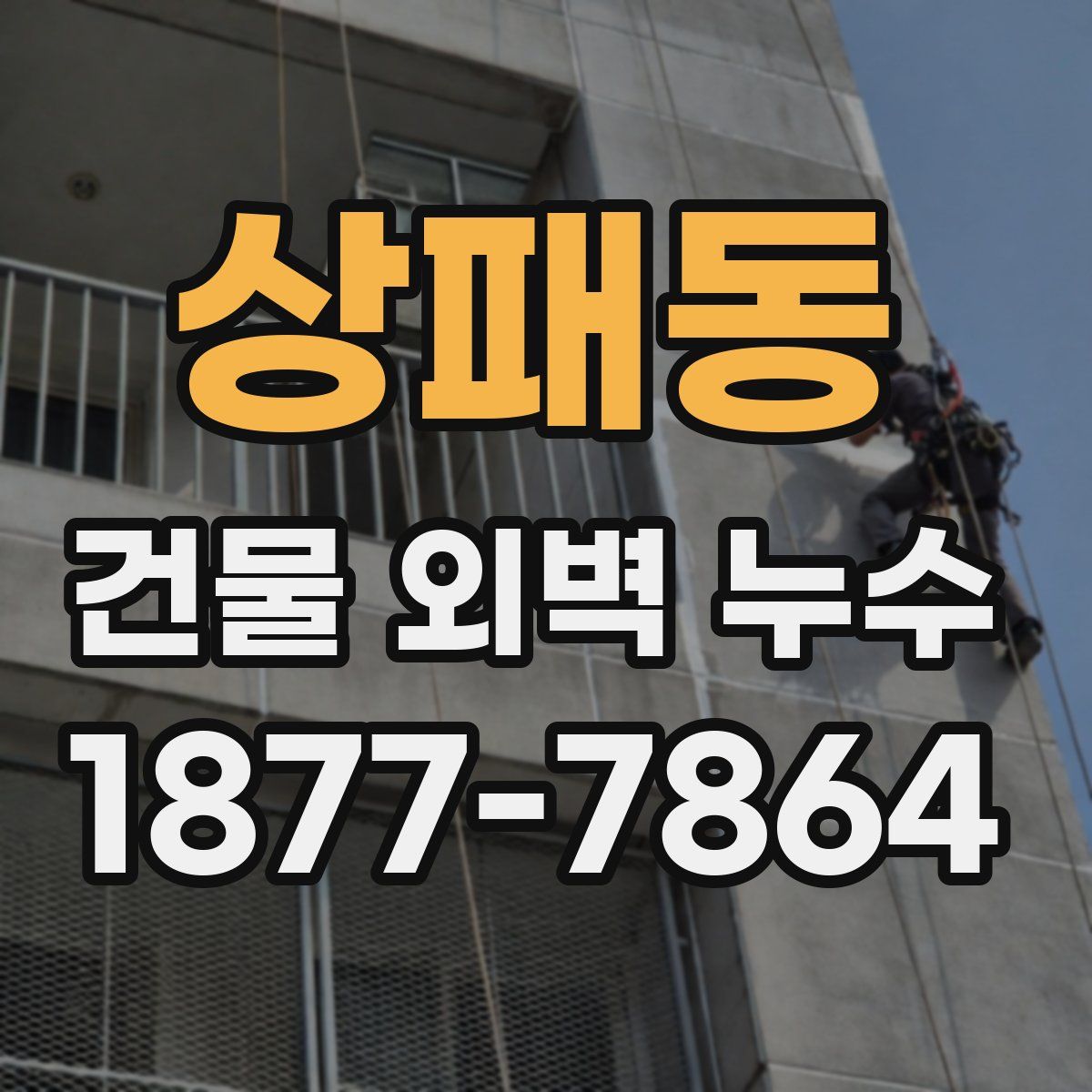 상패동 건물 외벽 누수