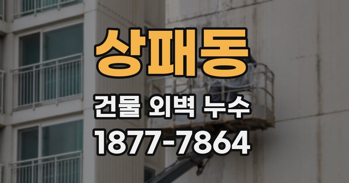 상패동 건물 외벽 누수