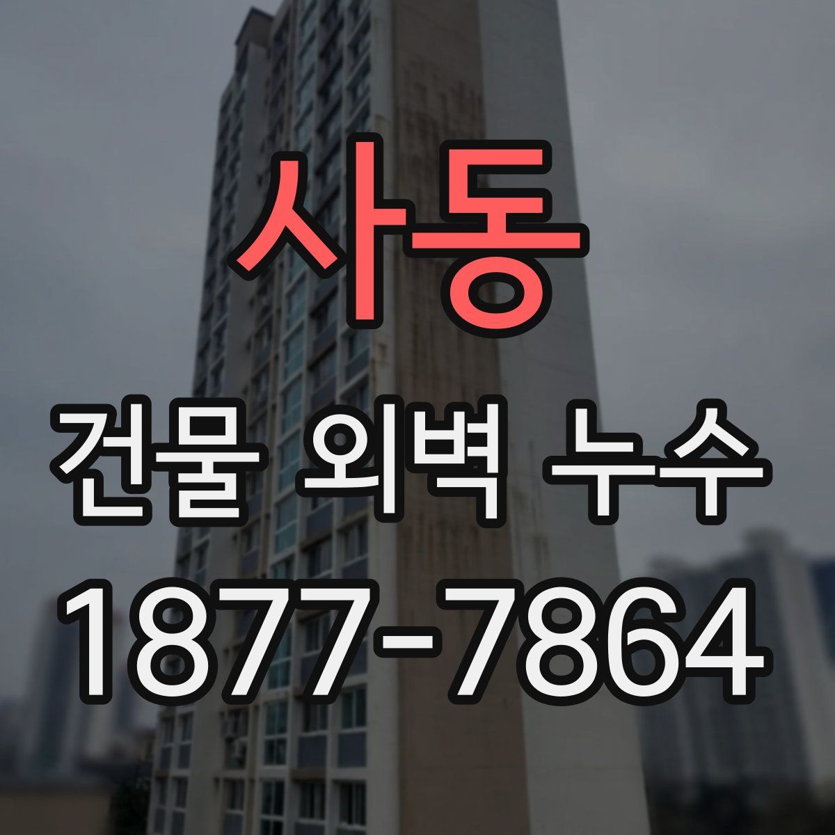 사동 건물 외벽 누수