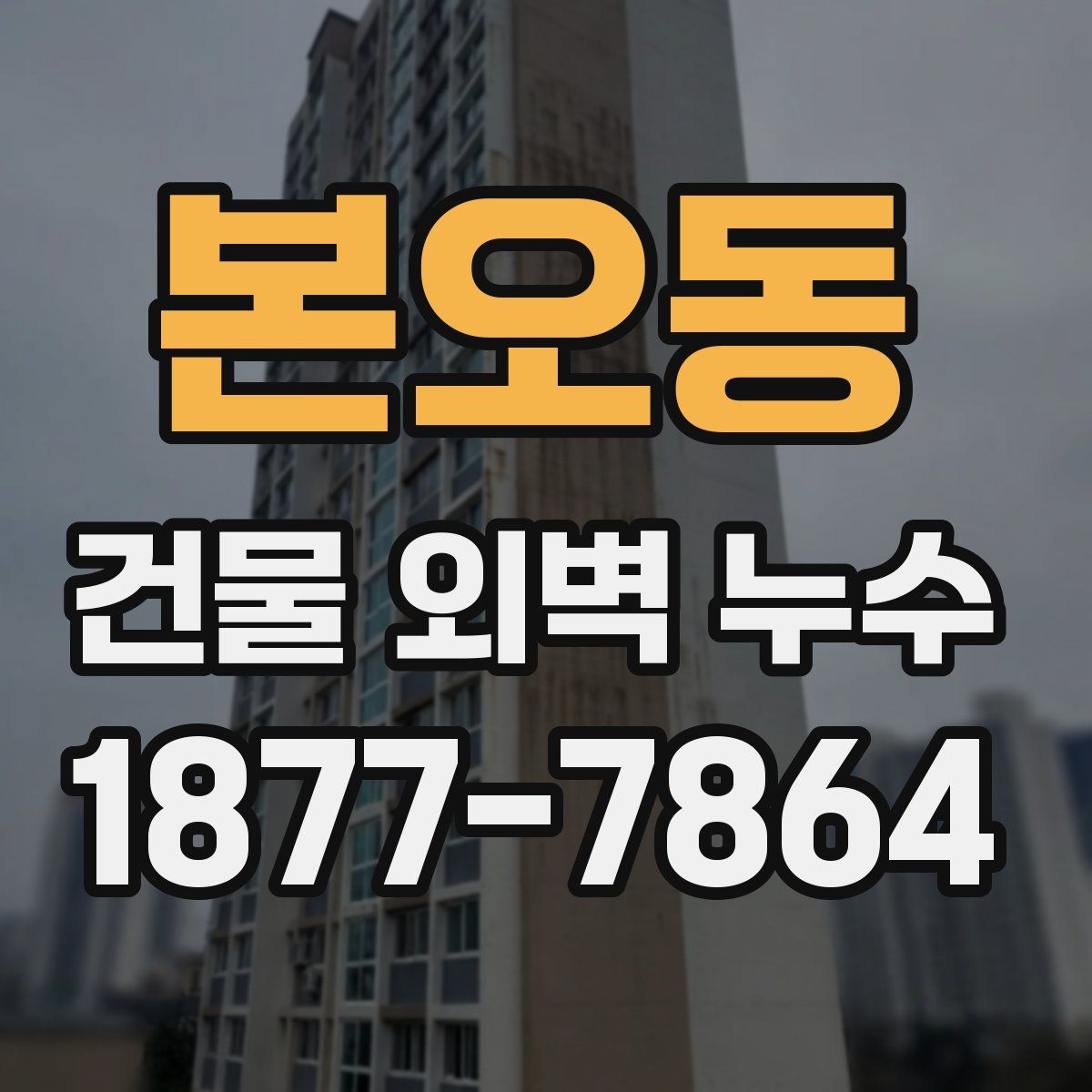 본오동 건물 외벽 누수