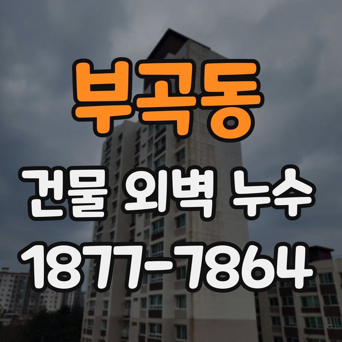 부곡동 건물 외벽 누수 의심될 때 먼저 볼 곳