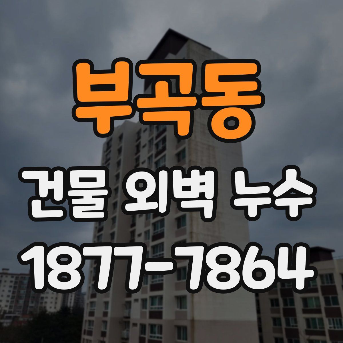 부곡동 건물 외벽 누수