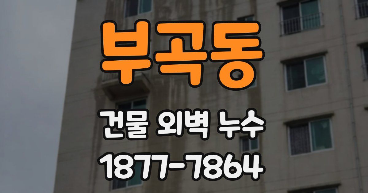 부곡동 건물 외벽 누수