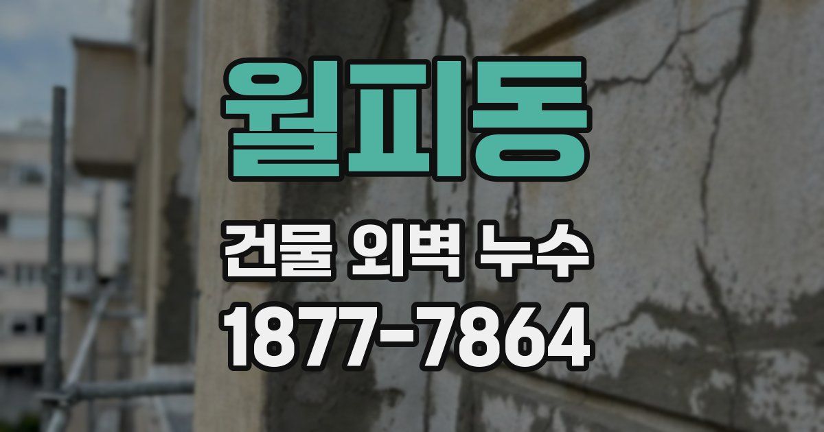 월피동 건물 외벽 누수