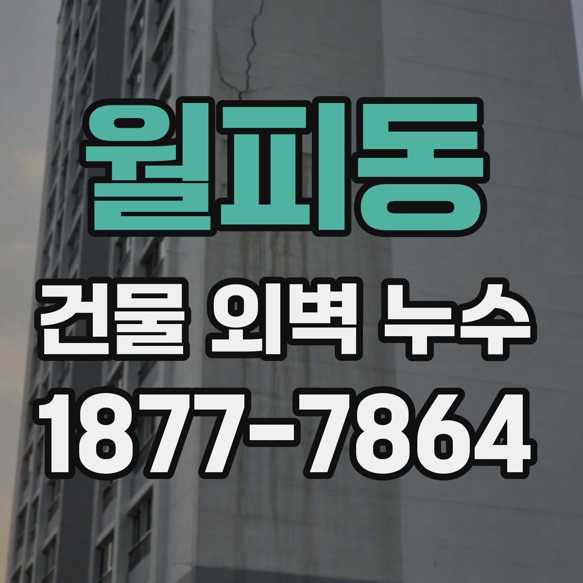월피동 건물 외벽 누수