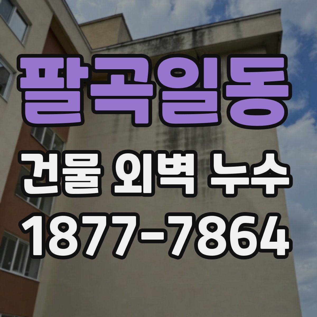 팔곡일동 건물 외벽 누수