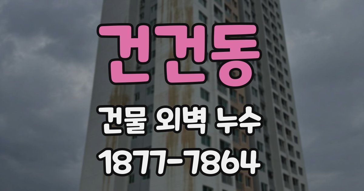건건동 건물 외벽 누수