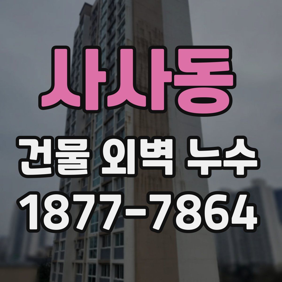사사동 건물 외벽 누수