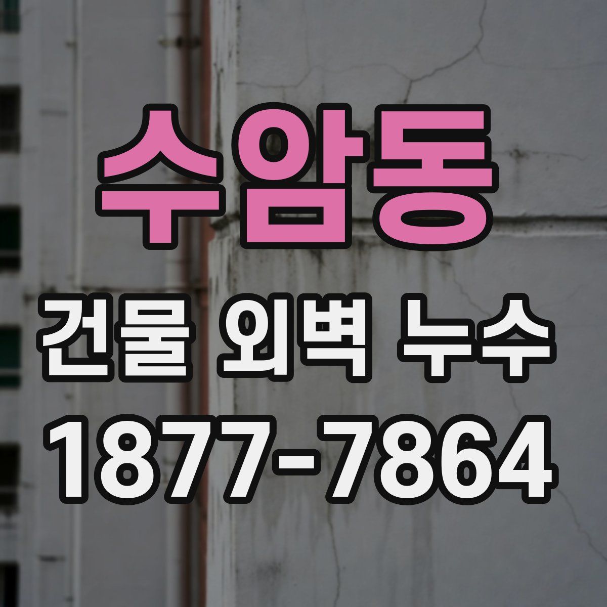 수암동 건물 외벽 누수