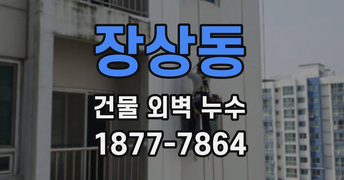 장상동 건물 외벽 누수