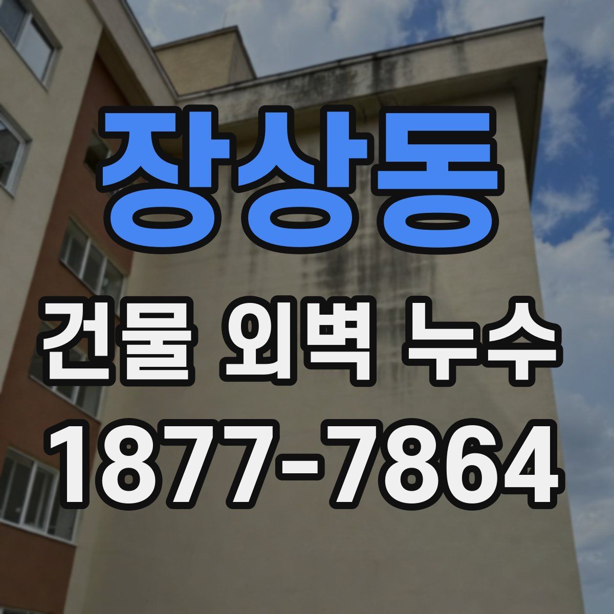 장상동 건물 외벽 누수