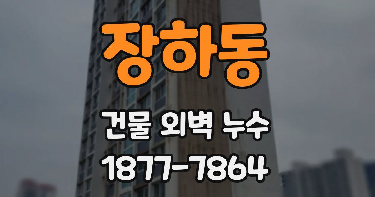 장하동 건물 외벽 누수