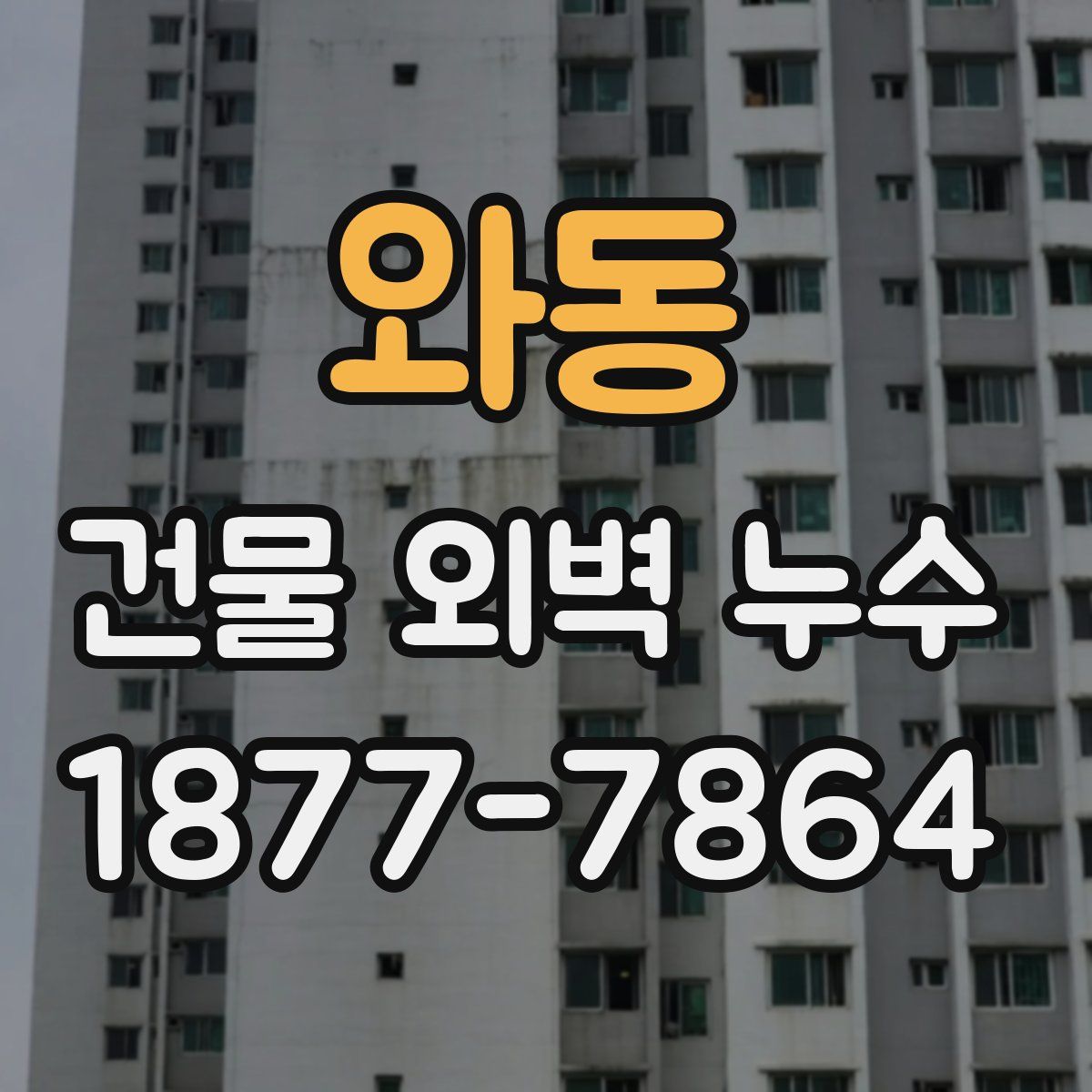 와동 건물 외벽 누수