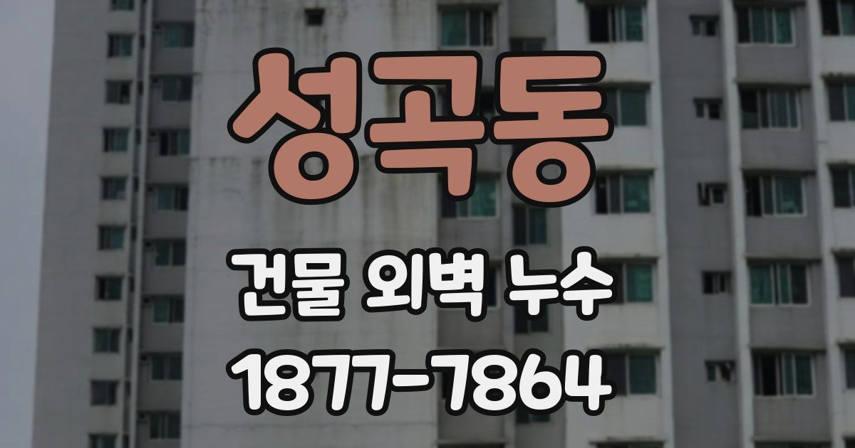 성곡동 건물 외벽 누수