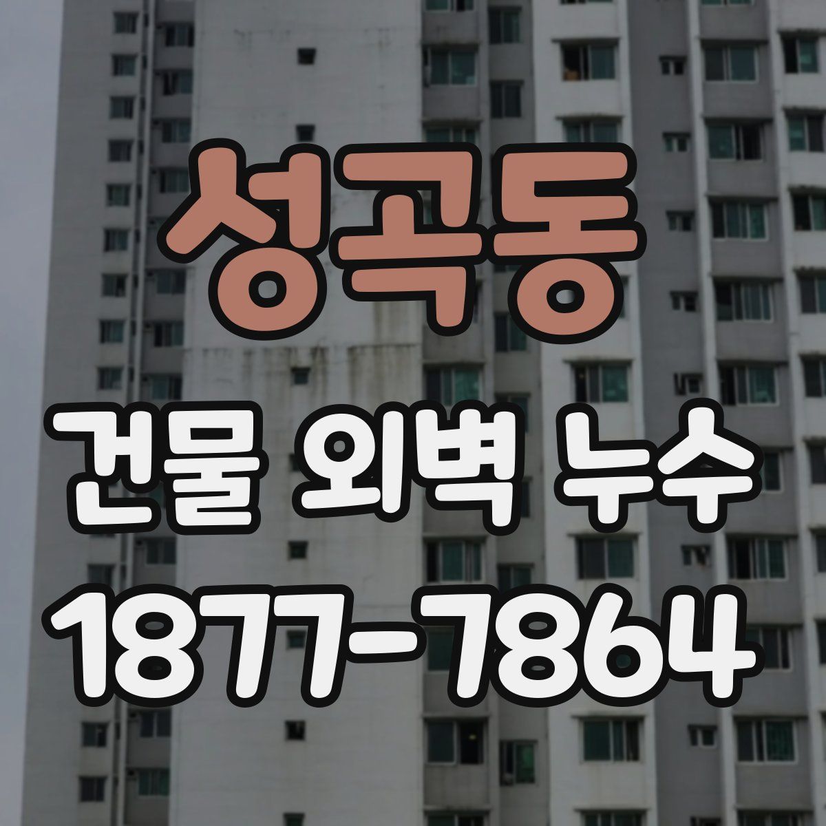 성곡동 건물 외벽 누수