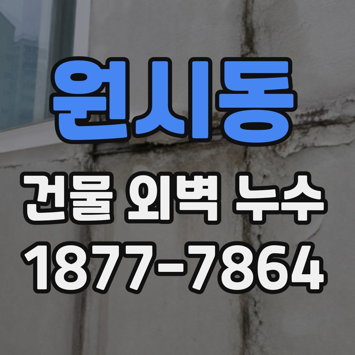 원시동 건물 외벽 누수