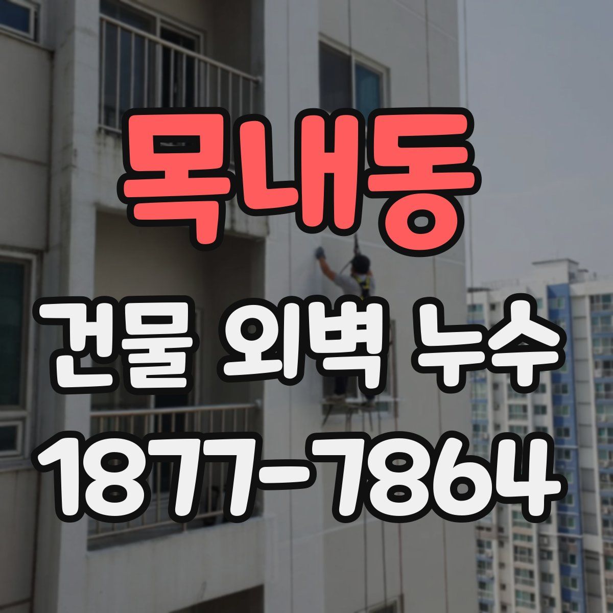 목내동 건물 외벽 누수