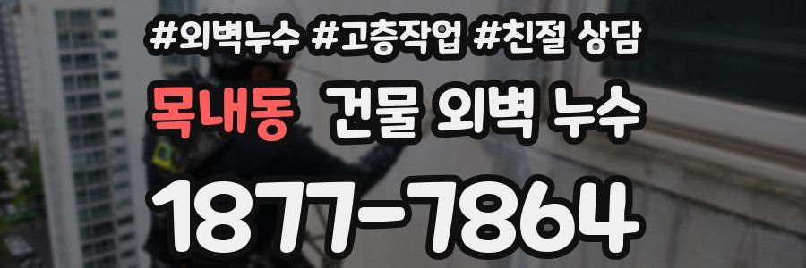 목내동 건물 외벽 누수