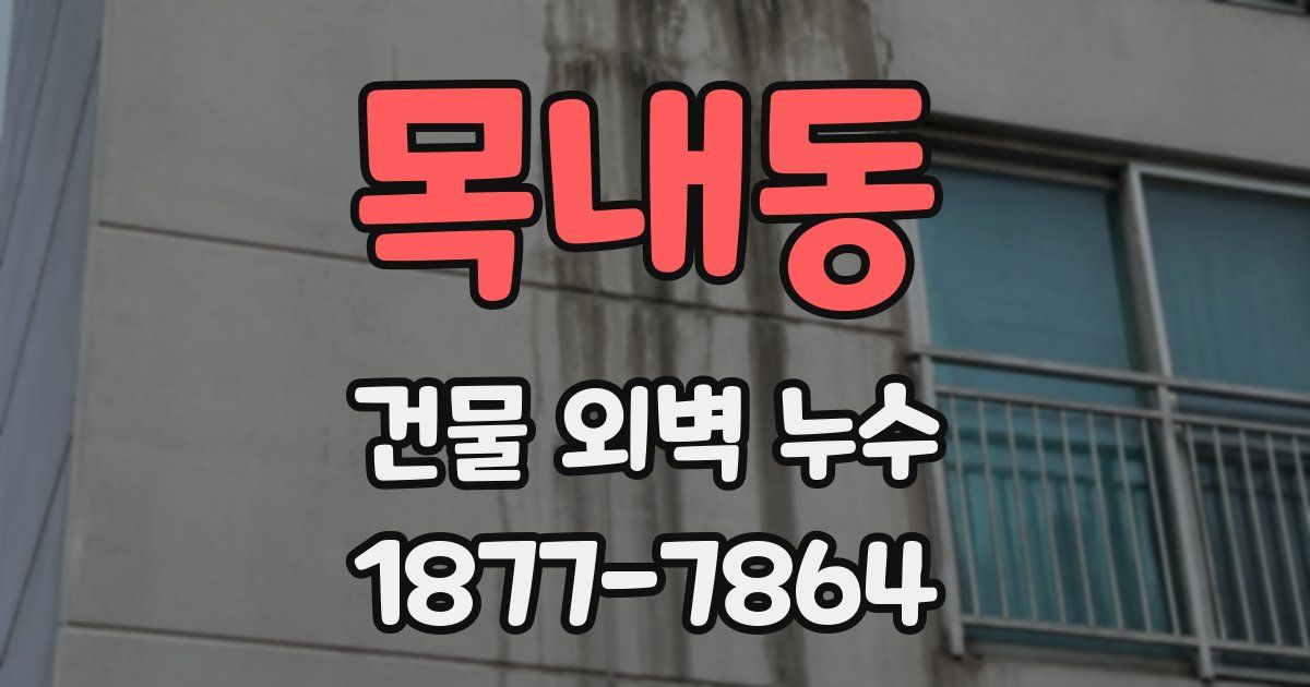 목내동 건물 외벽 누수
