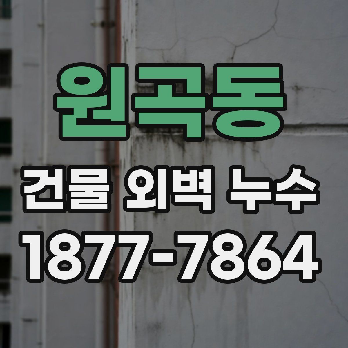 원곡동 건물 외벽 누수 보수 견적 차이가 나는 이유