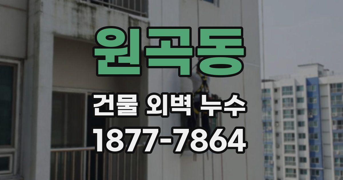 원곡동 건물 외벽 누수