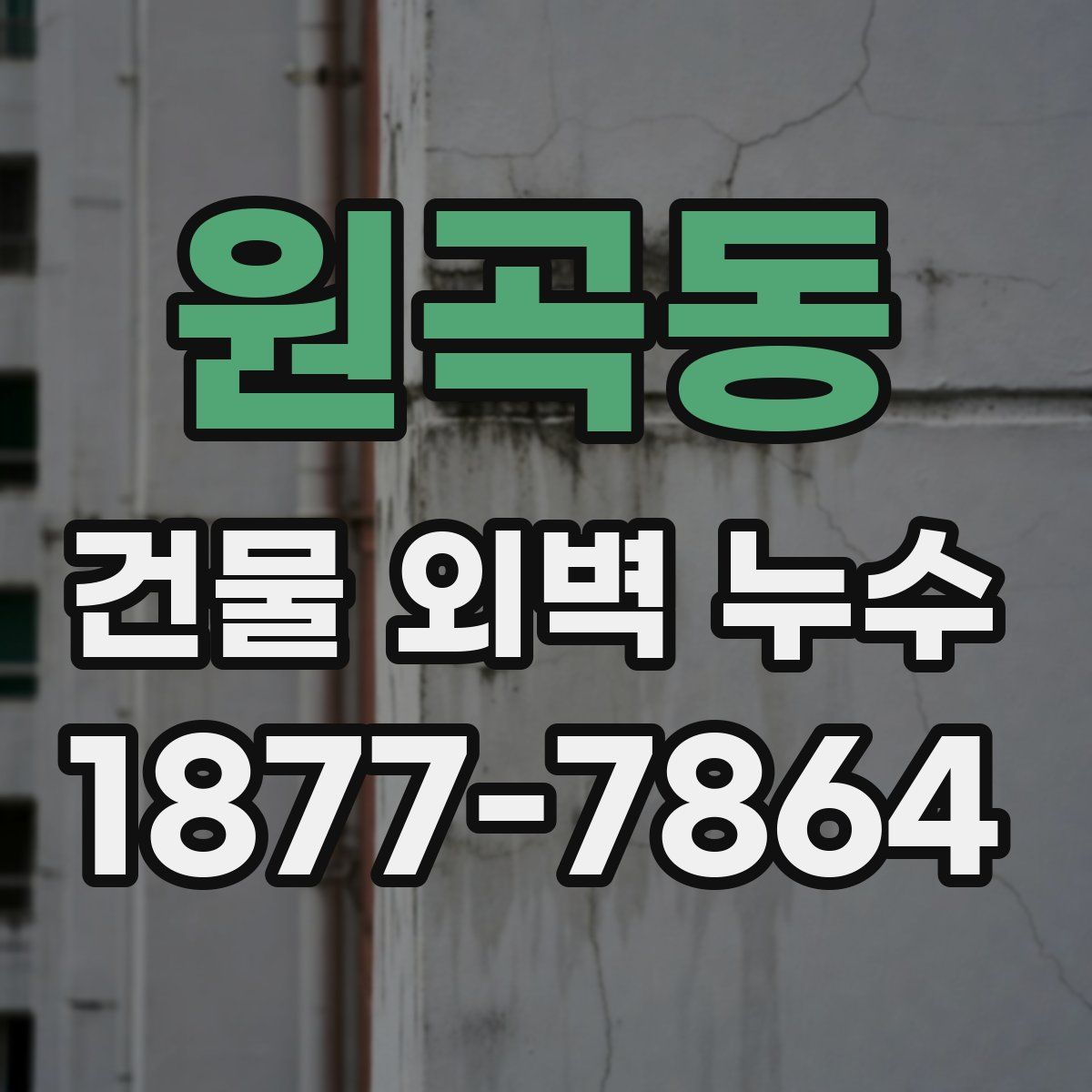 원곡동 건물 외벽 누수