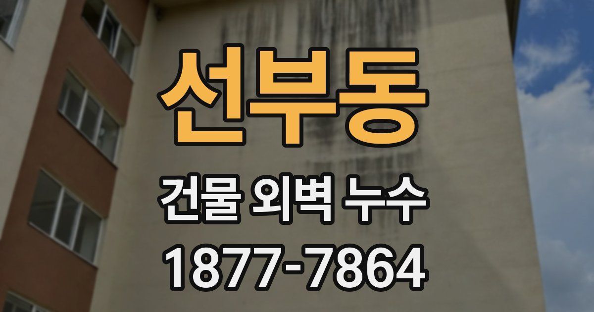 선부동 건물 외벽 누수