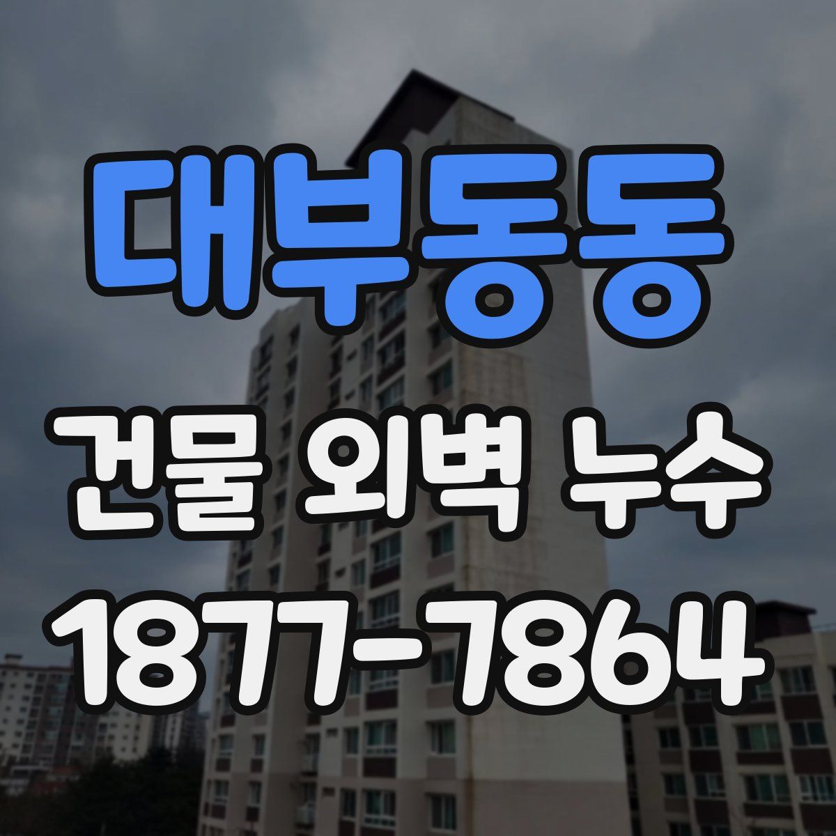 대부동동 건물 외벽 누수
