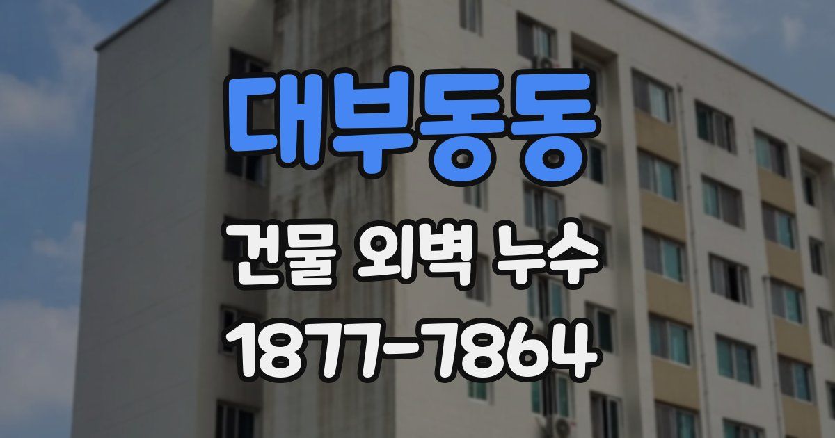 대부동동 건물 외벽 누수