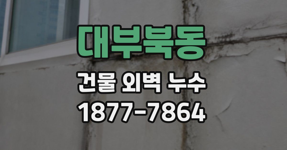 대부북동 건물 외벽 누수