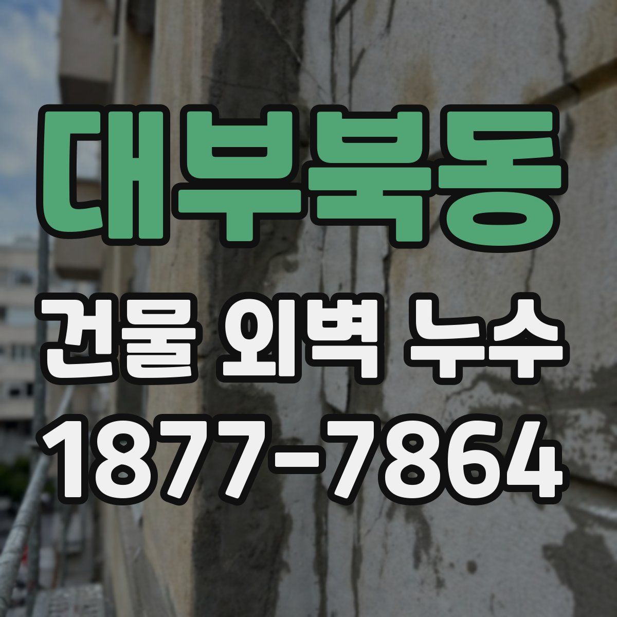 대부북동 건물 외벽 누수