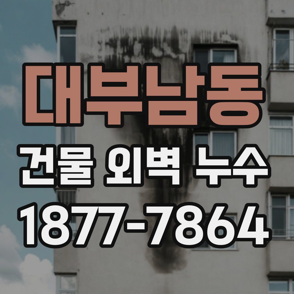 대부남동 건물 외벽 누수