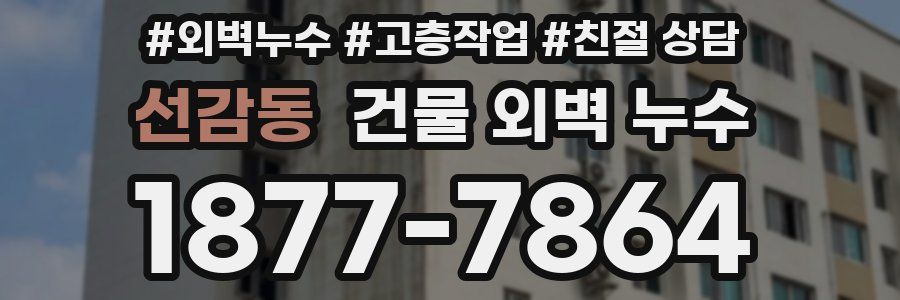 선감동 건물 외벽 누수