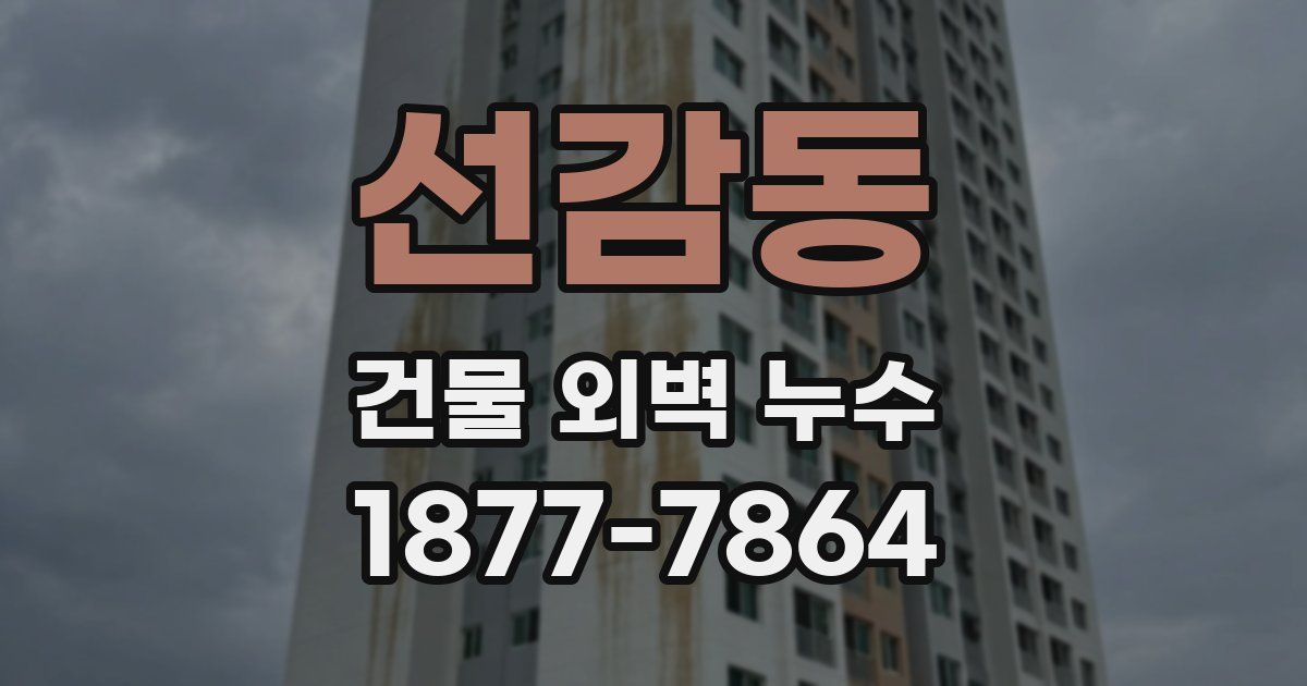 선감동 건물 외벽 누수
