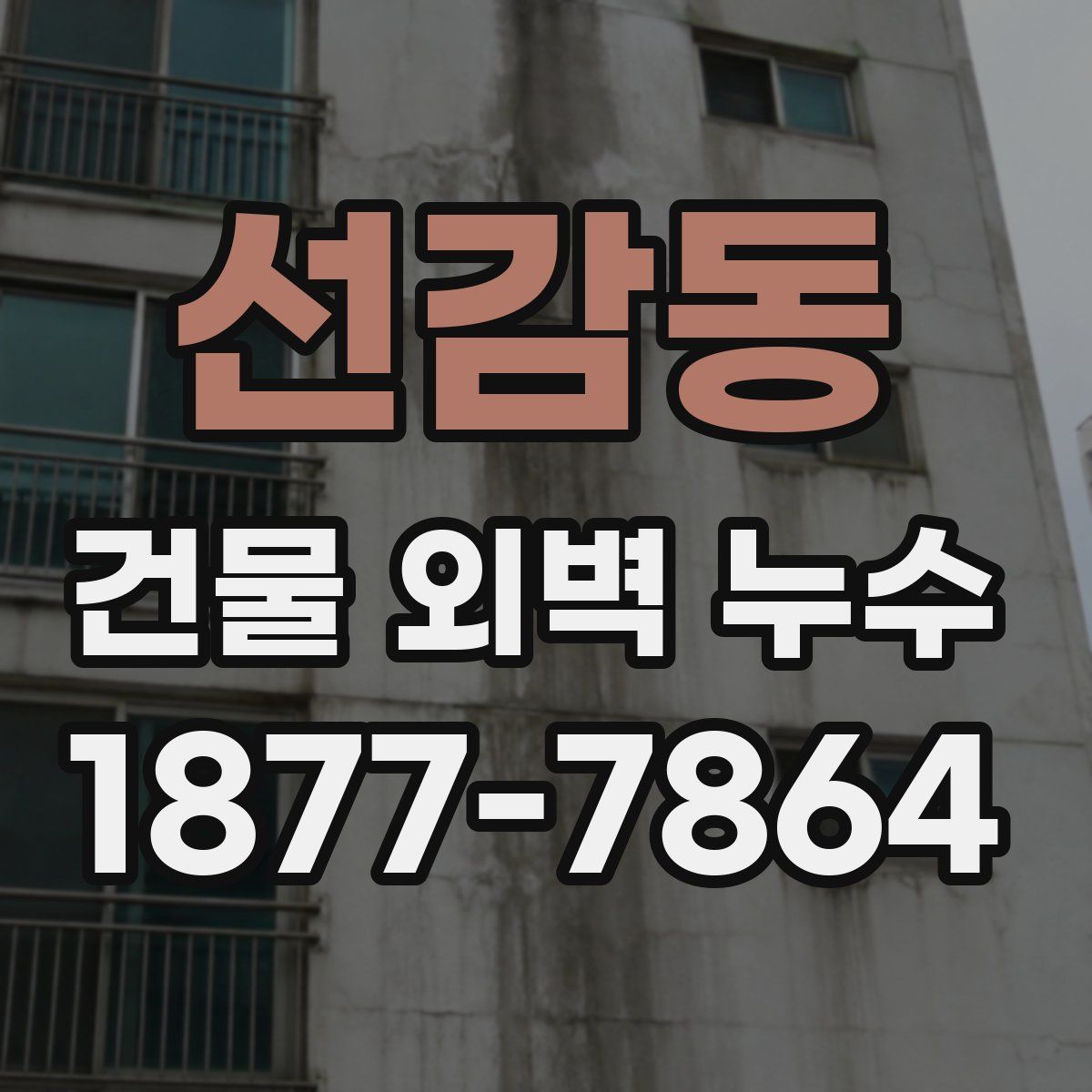 선감동 건물 외벽 누수