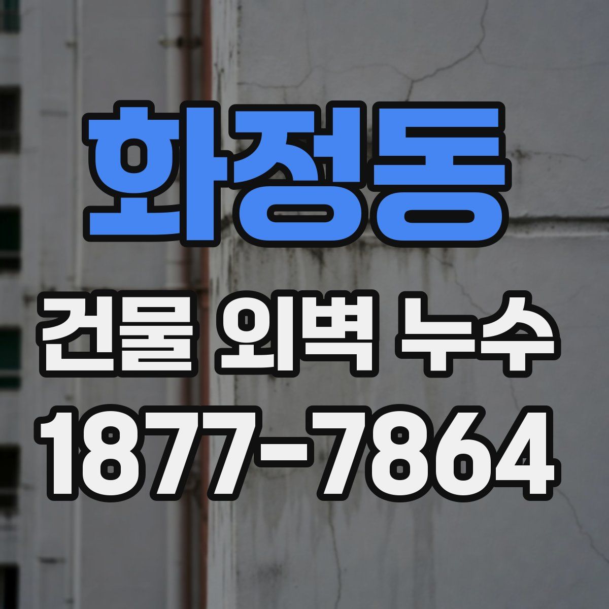 화정동 건물 외벽 누수
