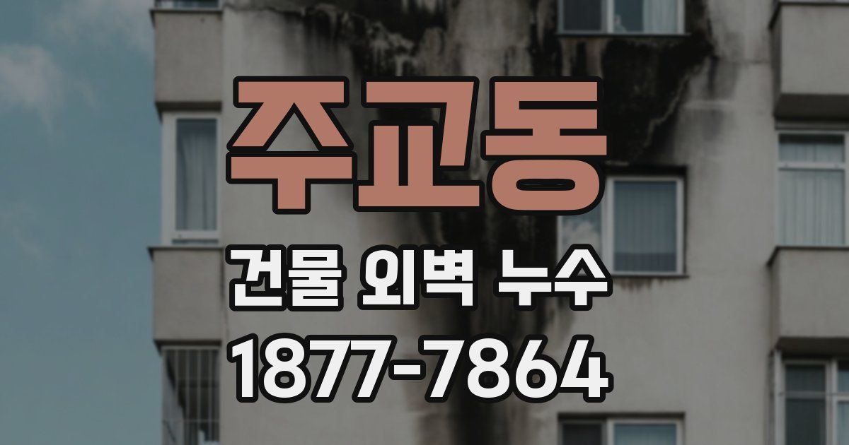 주교동 건물 외벽 누수