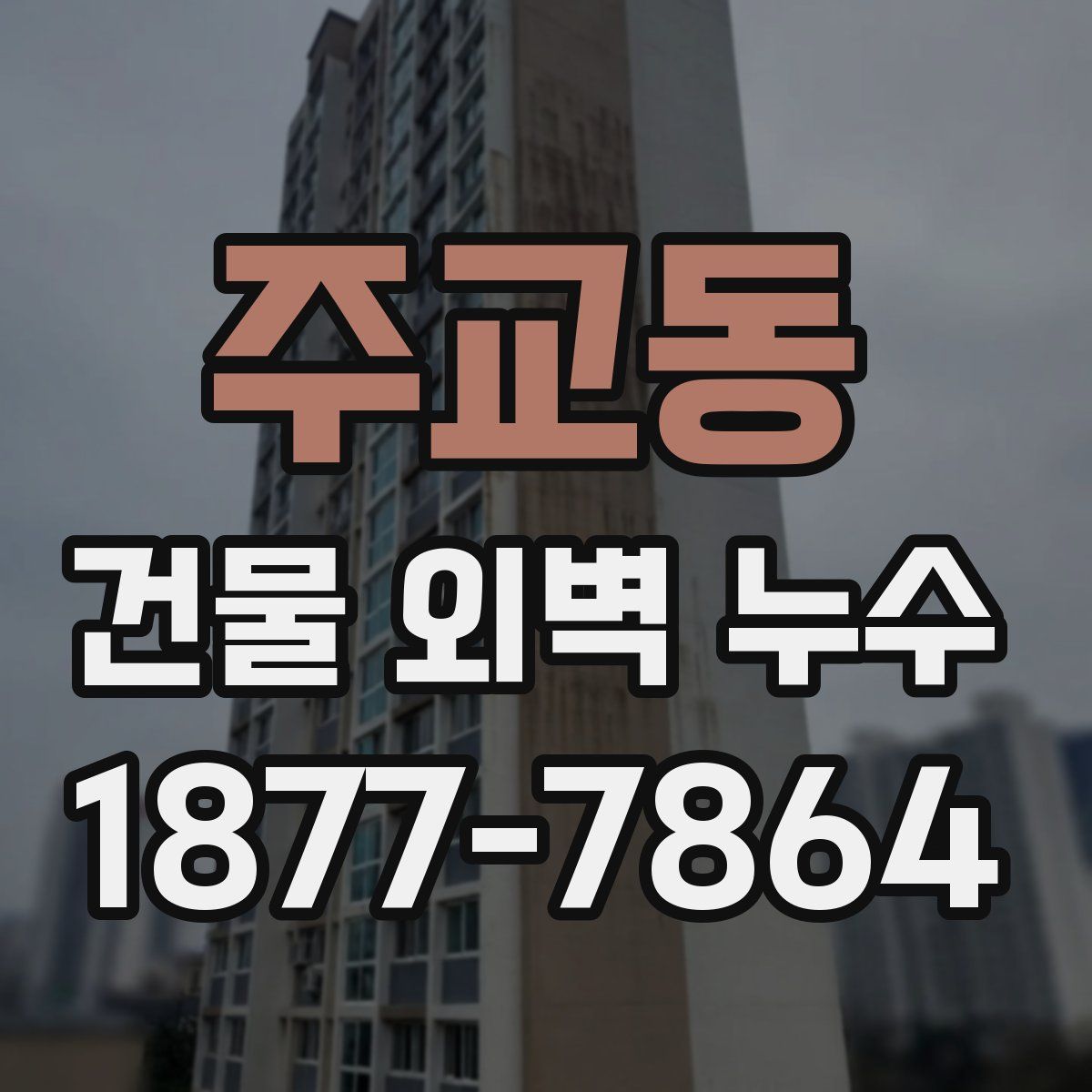 주교동 건물 외벽 누수