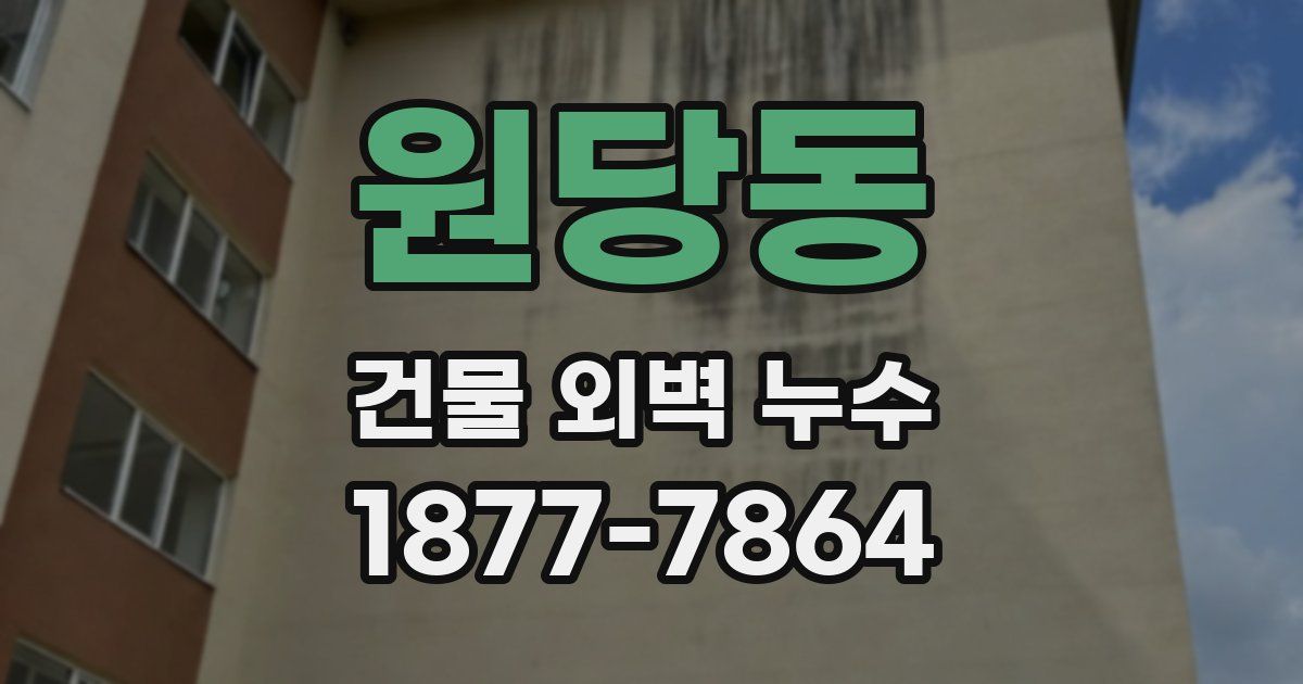 원당동 건물 외벽 누수