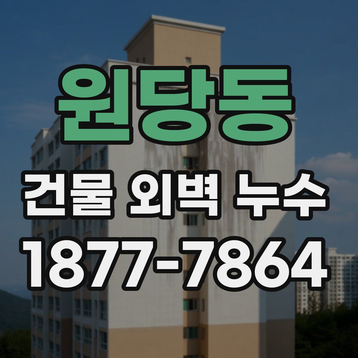 원당동 건물 외벽 누수