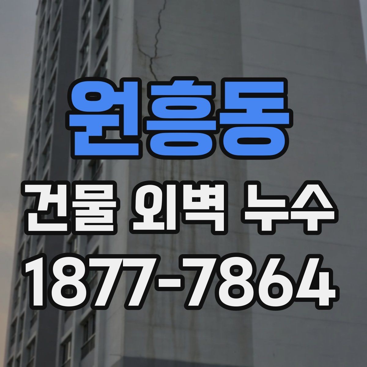 원흥동 건물 외벽 누수 발생 원인을 찾는 순서