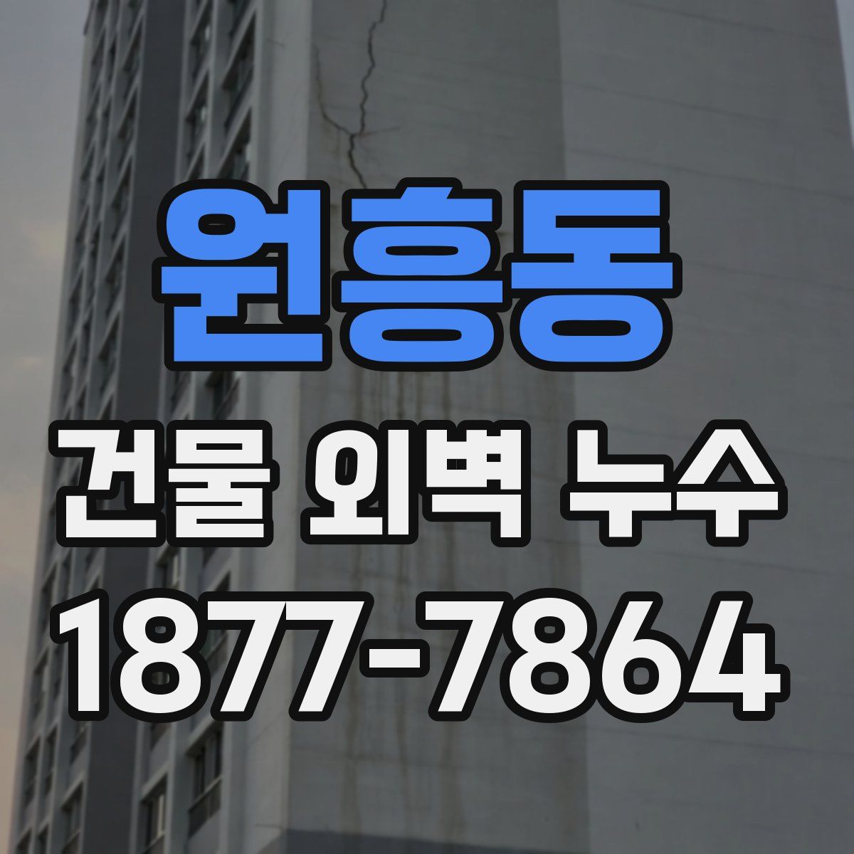 원흥동 건물 외벽 누수