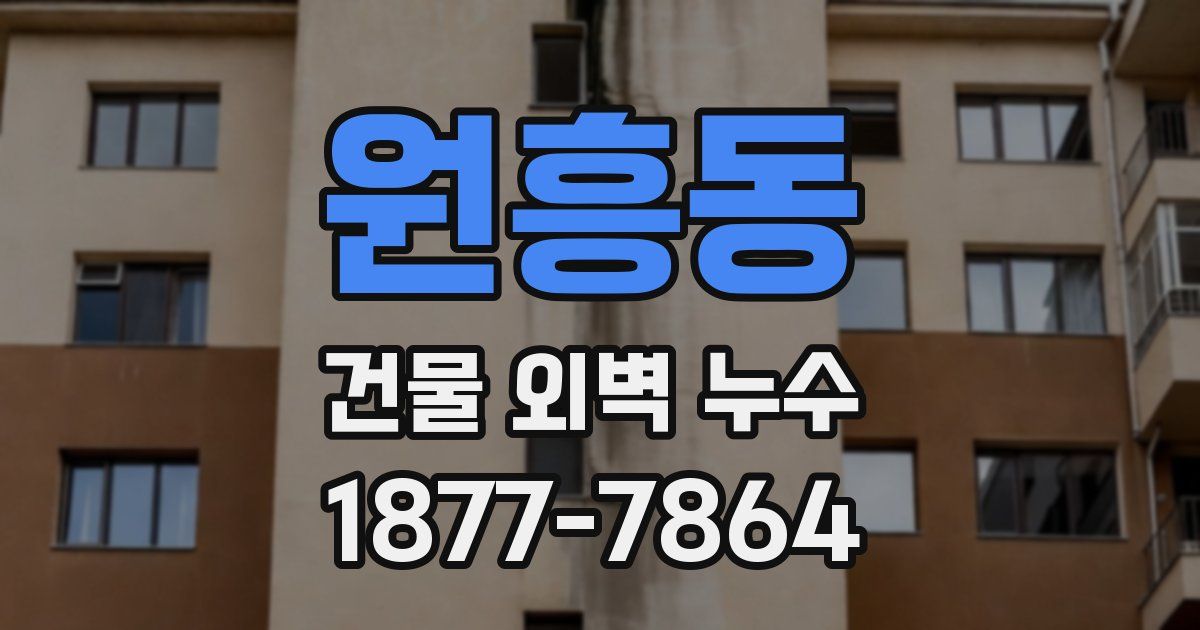 원흥동 건물 외벽 누수