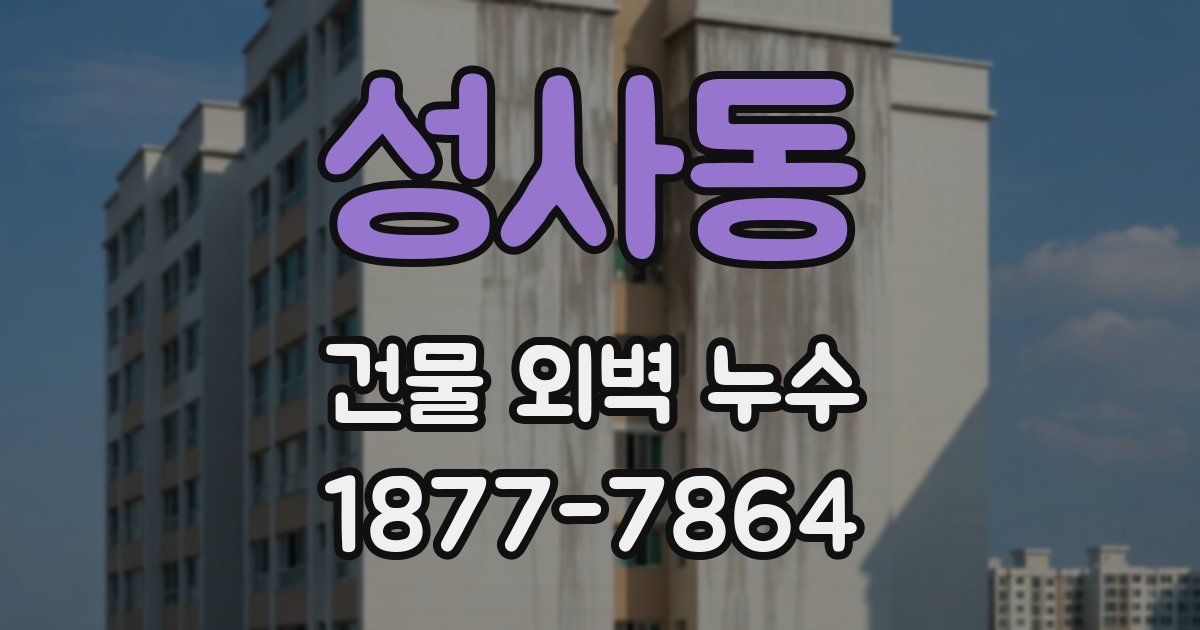 성사동 건물 외벽 누수