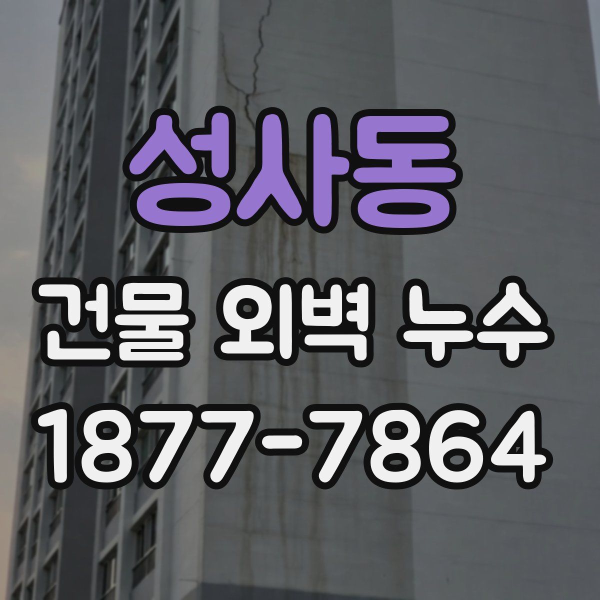 성사동 건물 외벽 누수