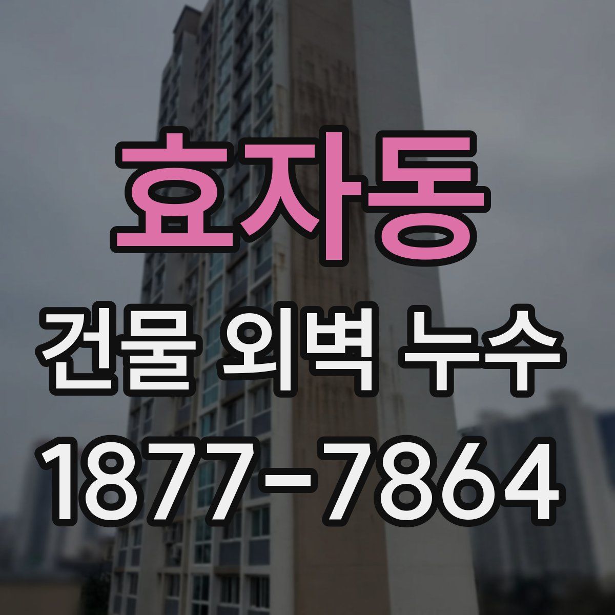효자동 건물 외벽 누수