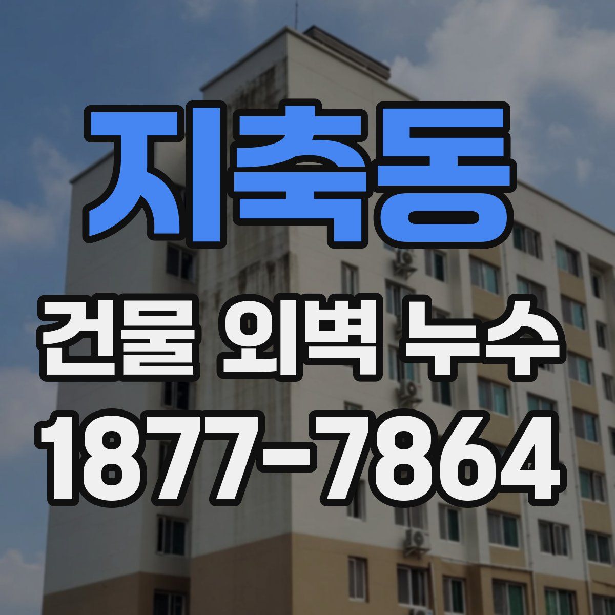 지축동 건물 외벽 누수