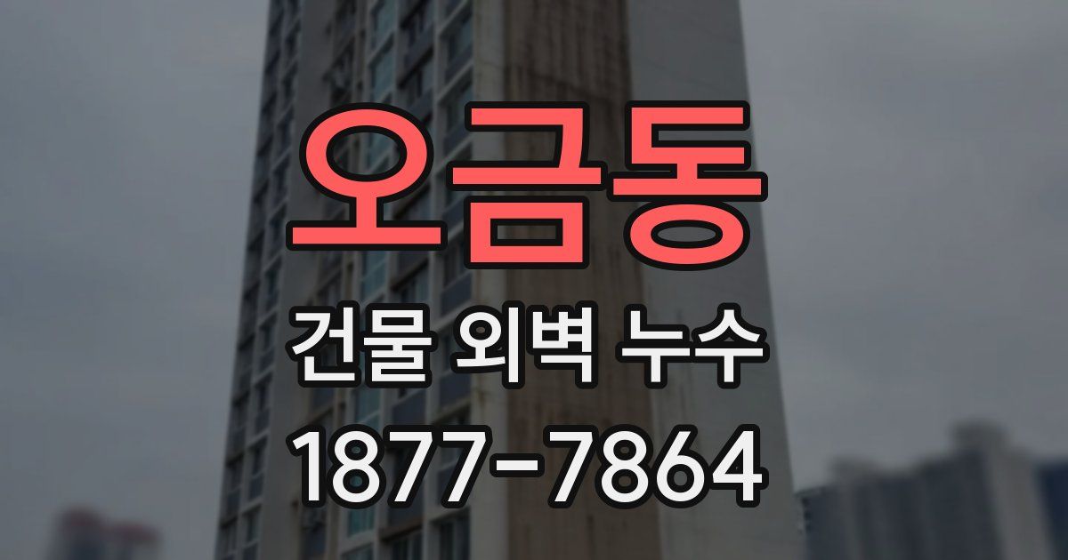 오금동 건물 외벽 누수