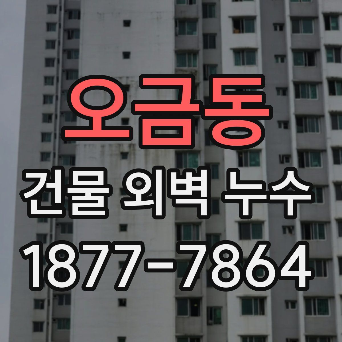 오금동 건물 외벽 누수