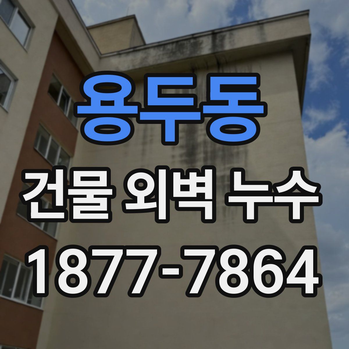 용두동 건물 외벽 누수